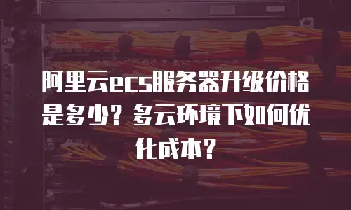 阿里云ecs服务器升级价格是多少？多云环境下如何优化成本？