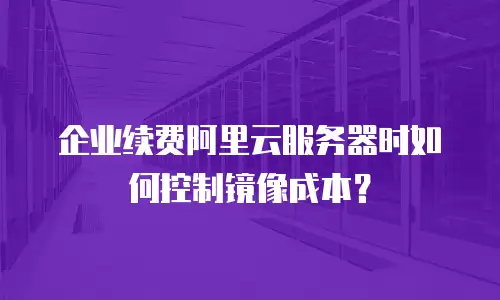 企业续费阿里云服务器时如何控制镜像成本？