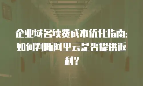 企业域名续费成本优化指南：如何判断阿里云是否提供返利？