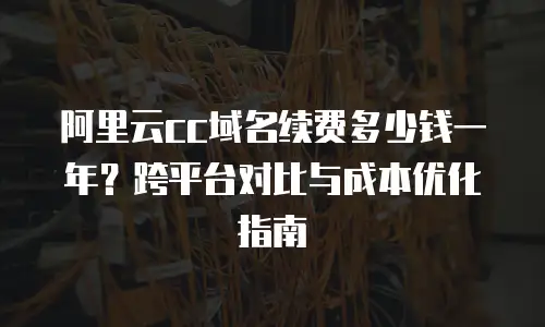阿里云cc域名续费多少钱一年？跨平台对比与成本优化指南