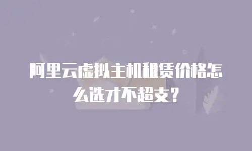 阿里云虚拟主机租赁价格怎么选才不超支？