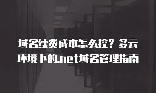 域名续费成本怎么控？多云环境下的.net域名管理指南
