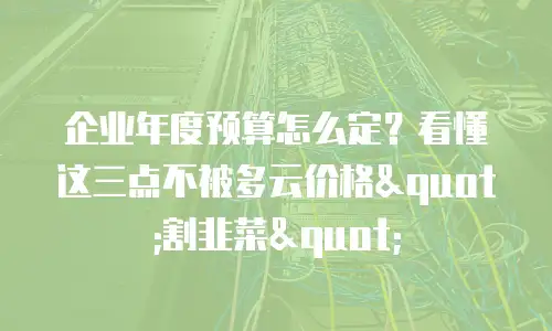 企业年度预算怎么定？看懂这三点不被多云价格