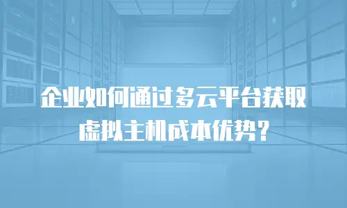 企业如何通过多云平台获取虚拟主机成本优势？