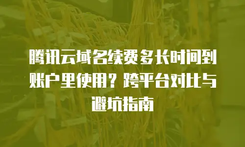 腾讯云域名续费多长时间到账户里使用？跨平台对比与避坑指南