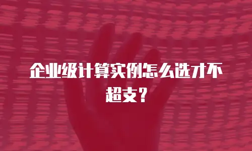 企业级计算实例怎么选才不超支？