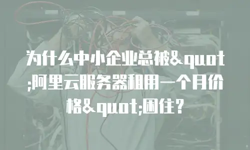 为什么中小企业总被"阿里云服务器租用一个月价格"困住？