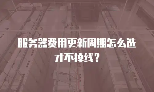 服务器费用更新周期怎么选才不掉线？