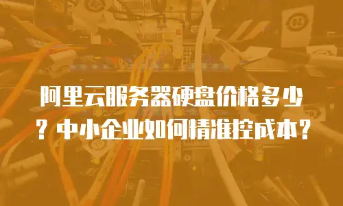 阿里云服务器硬盘价格多少？中小企业如何精准控成本？