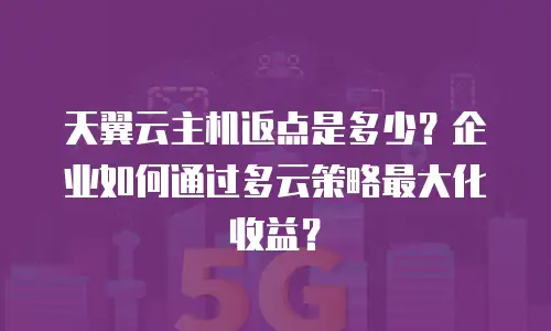 天翼云主机返点是多少？企业如何通过多云策略最大化收益？