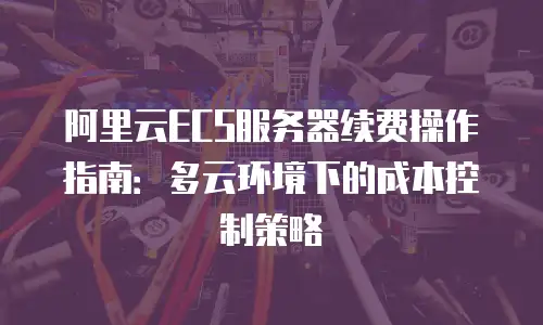 阿里云ECS服务器续费操作指南：多云环境下的成本控制策略