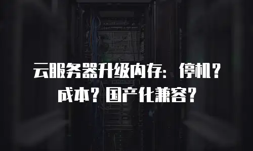 云服务器升级内存：停机？成本？国产化兼容？