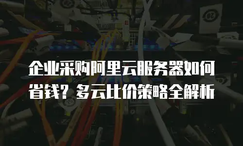 企业采购阿里云服务器如何省钱？多云比价策略全解析