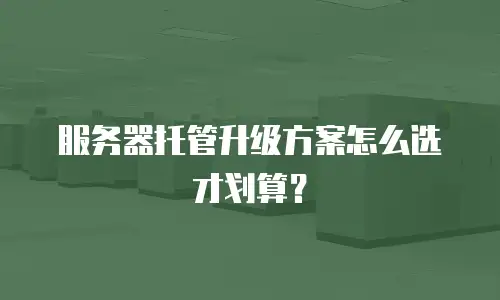 服务器托管升级方案怎么选才划算？