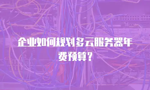 企业如何规划多云服务器年费预算？