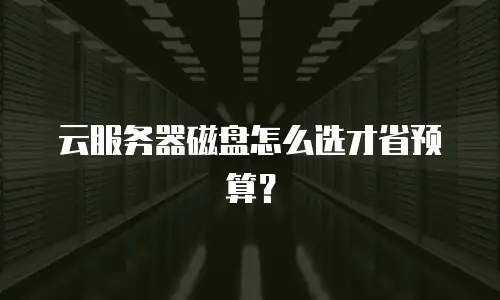 云服务器磁盘怎么选才省预算？