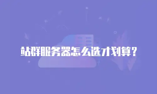 站群服务器怎么选才划算？