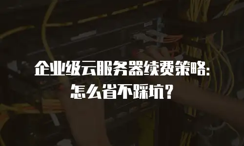 企业级云服务器续费策略：怎么省不踩坑？