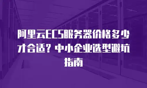 阿里云ECS服务器价格多少才合适？中小企业选型避坑指南
