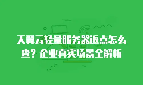 天翼云轻量服务器返点怎么查？企业真实场景全解析