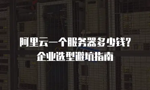 阿里云一个服务器多少钱？企业选型避坑指南