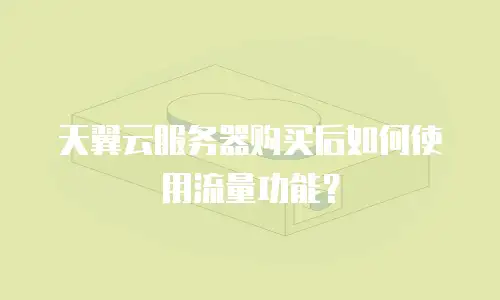 天翼云服务器购买后如何使用流量功能？