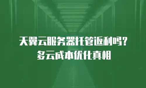 天翼云服务器托管返利吗？多云成本优化真相