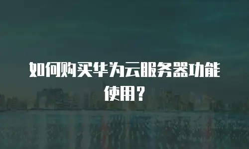 如何购买华为云服务器功能使用？