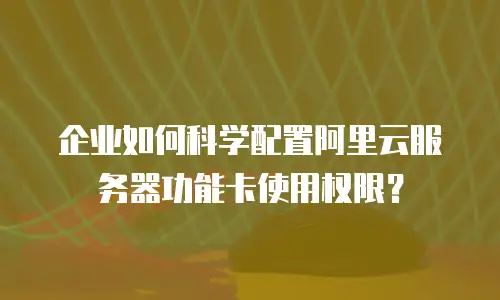 企业如何科学配置阿里云服务器功能卡使用权限？