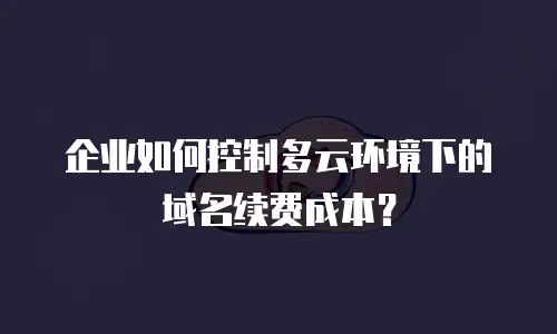 企业如何控制多云环境下的域名续费成本？