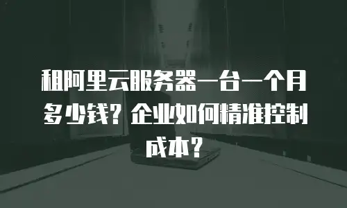 租阿里云服务器一台一个月多少钱？企业如何精准控制成本？