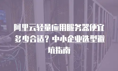 阿里云轻量应用服务器便宜多少合适？中小企业选型避坑指南