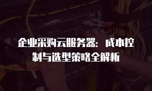 企业采购云服务器：成本控制与选型策略全解析