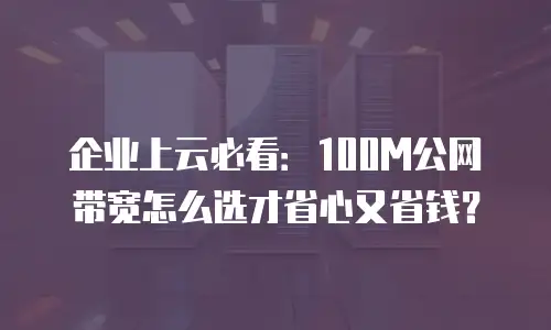 企业上云必看：100M公网带宽怎么选才省心又省钱？