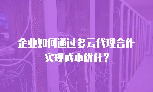 企业如何通过多云代理合作实现成本优化？