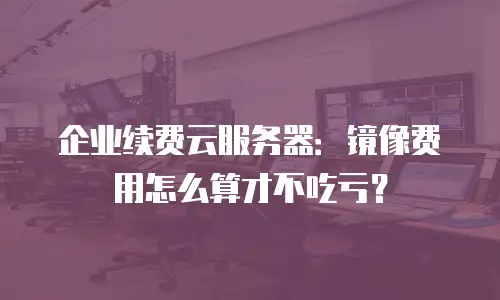 企业续费云服务器：镜像费用怎么算才不吃亏？