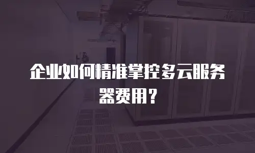 企业如何精准掌控多云服务器费用？