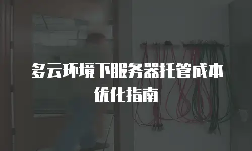 多云环境下服务器托管成本优化指南