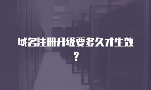 域名注册升级要多久才生效？
