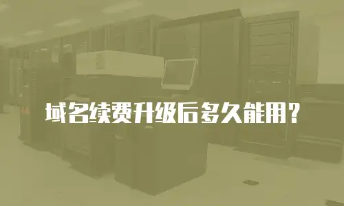 域名续费升级后多久能用？