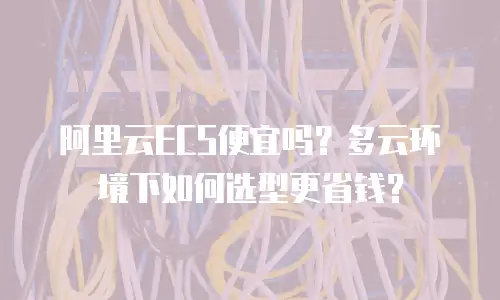 阿里云ECS便宜吗？多云环境下如何选型更省钱？