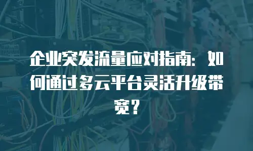 企业突发流量应对指南：如何通过多云平台灵活升级带宽？