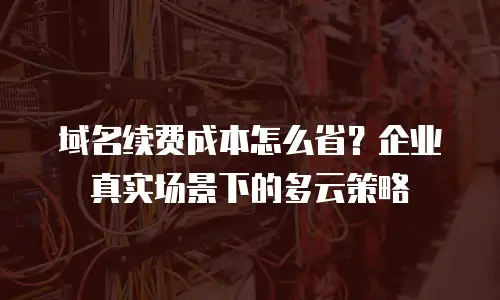 域名续费成本怎么省？企业真实场景下的多云策略