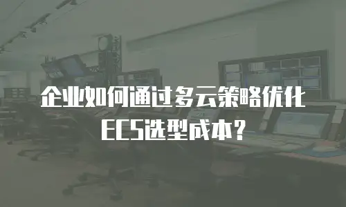 企业如何通过多云策略优化ECS选型成本？