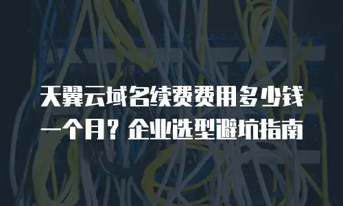 天翼云域名续费费用多少钱一个月？企业选型避坑指南