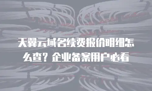 天翼云域名续费报价明细怎么查？企业备案用户必看