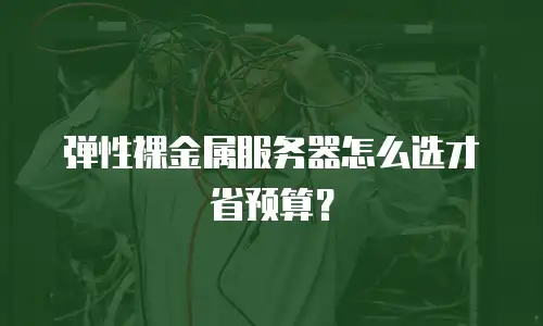 弹性裸金属服务器怎么选才省预算？