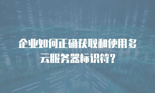 企业如何正确获取和使用多云服务器标识符？