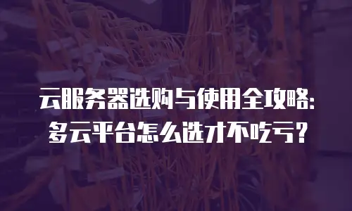 云服务器选购与使用全攻略：多云平台怎么选才不吃亏？