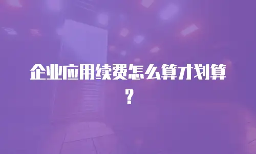 企业应用续费怎么算才划算？